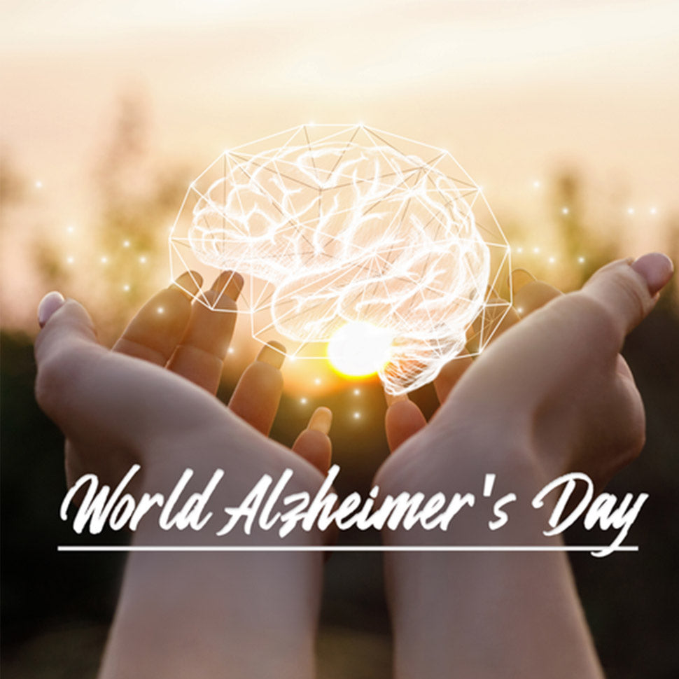 Alzheimer’s Disease and Nitric Oxide