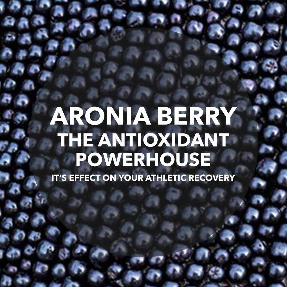 Aronia berry, antioxidant & polyphenol powerhouse