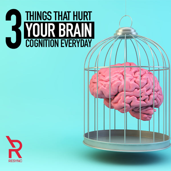 Three Things That Hurt Your Brain Cognition Everyday