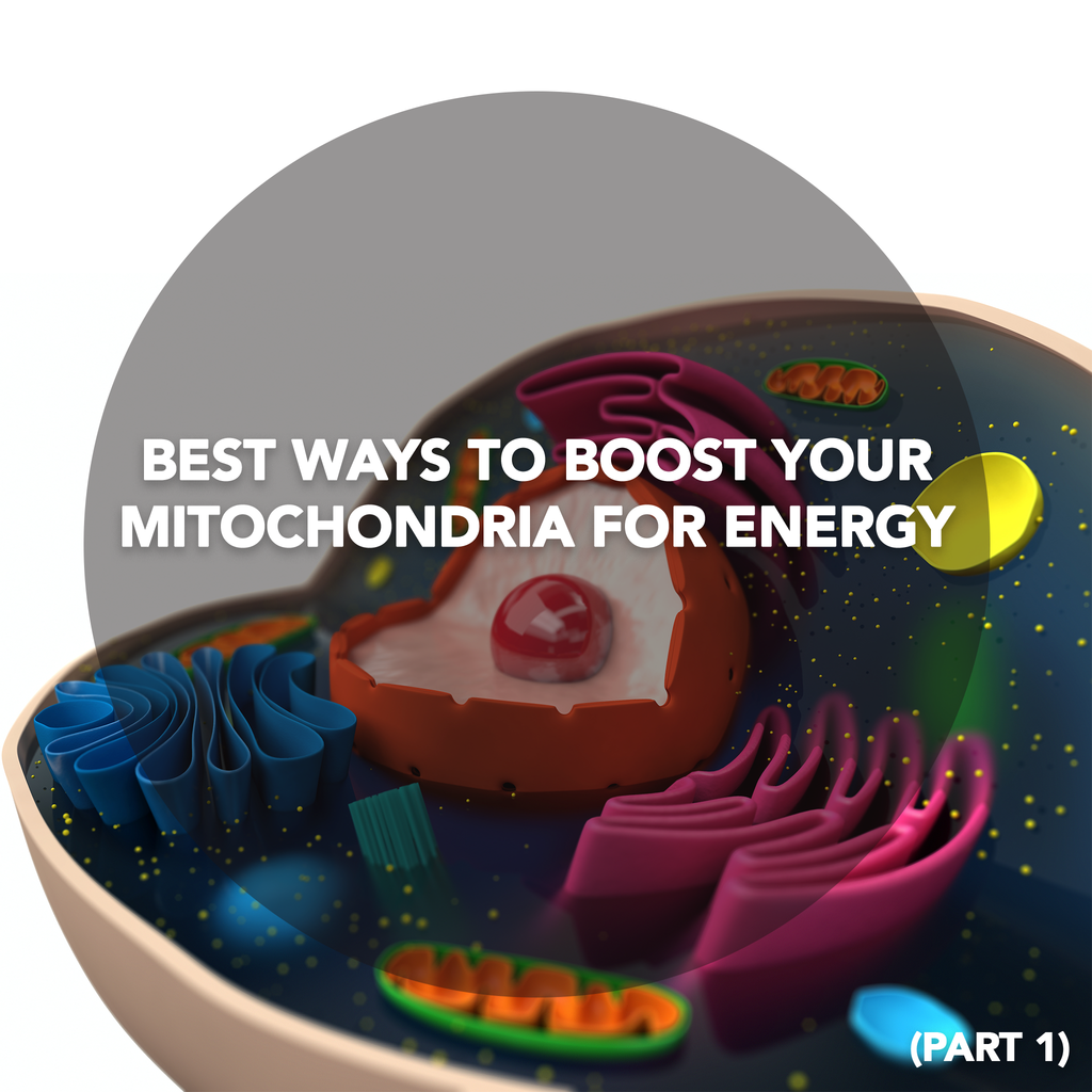 Best Ways to Boost Your Mitochondria for Energy (Part 1)