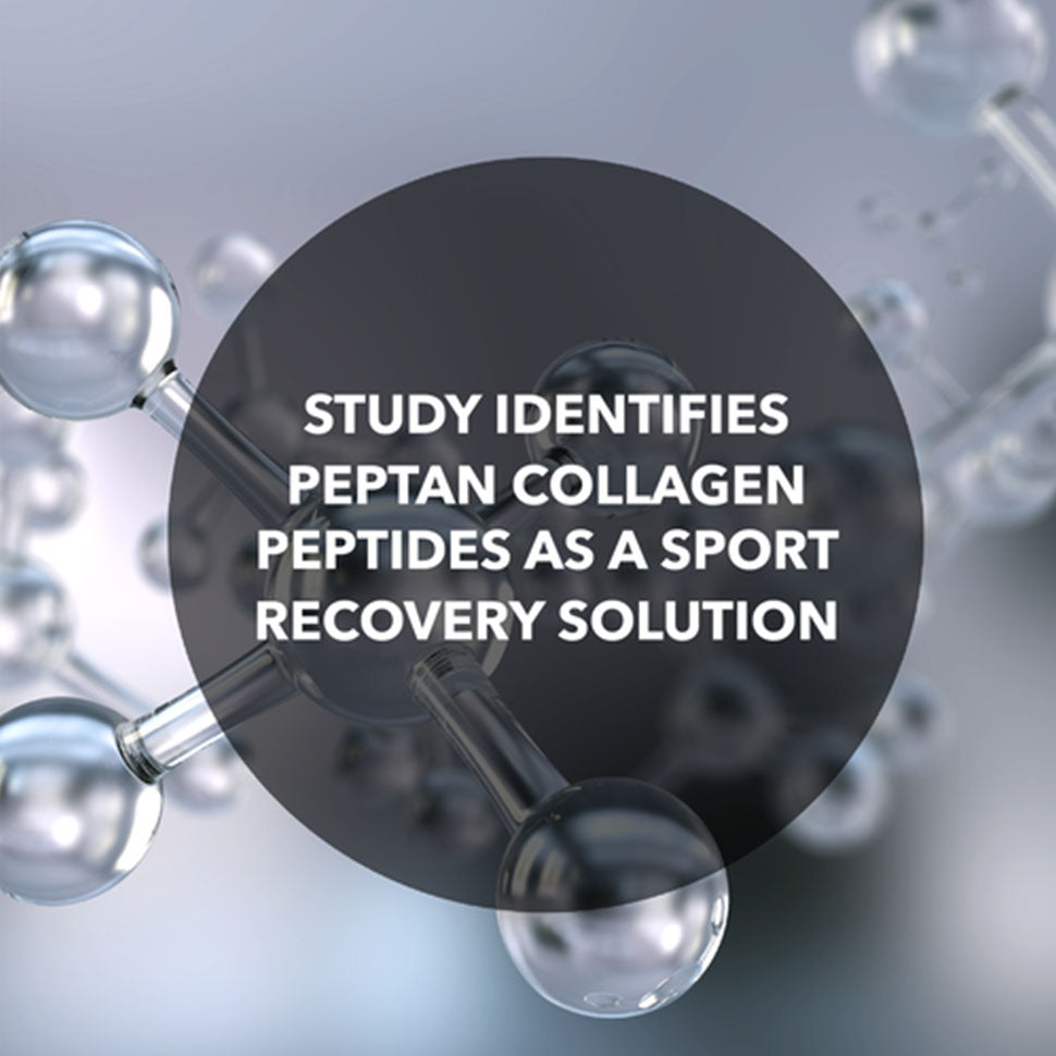 Study Identifies Peptan Collagen Peptides as a Sport Recovery Solution
