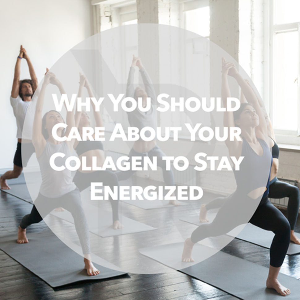 Curious About Collagen?