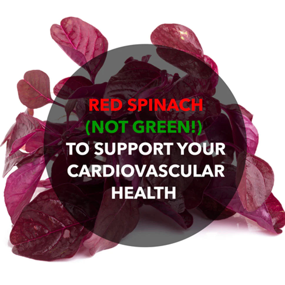 Red Spinach (Not Green!) to Support Your Cardiovascular Health