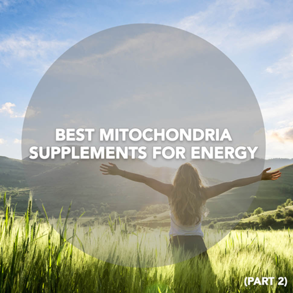 Best Mitochondria Supplements for Energy (Part 2)