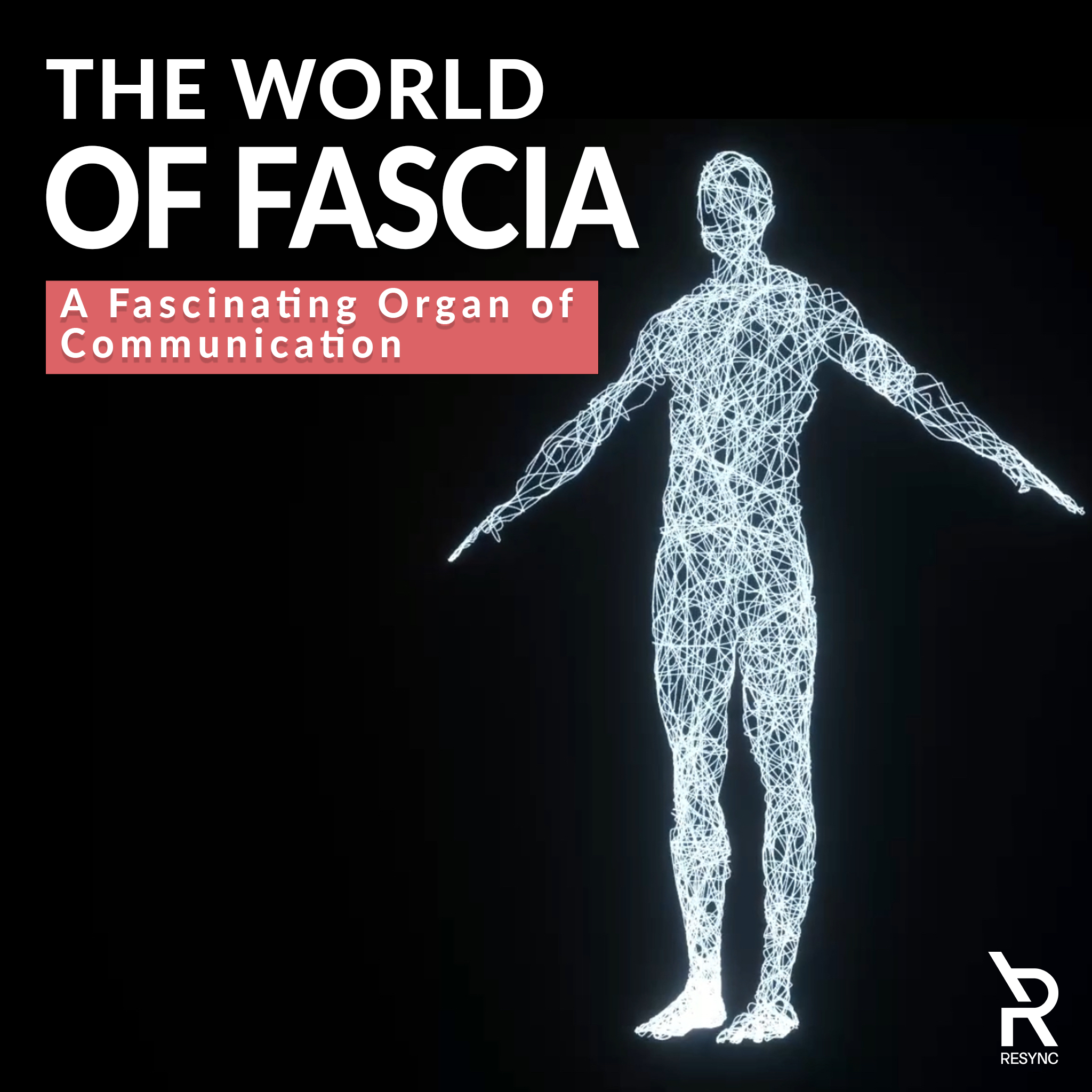 The world of fascia - fascinating organ of communication