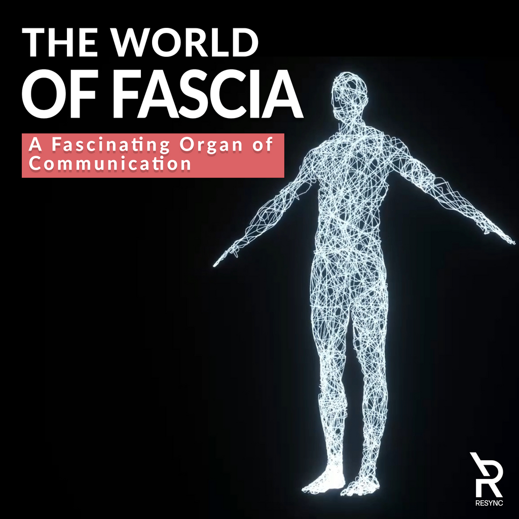 The World Of Fascia