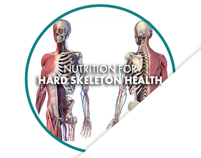 Nutrition for Hard Skeleton Health freeshipping - Resync