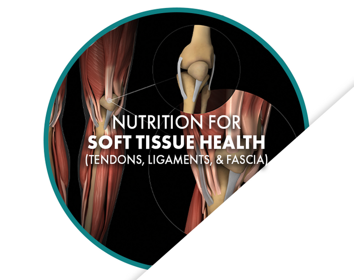 Nutrition for Soft Tissue Health - Tendons, Ligaments, & Fascia freeshipping - Resync